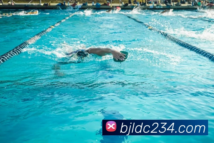 百家乐网站服务体系